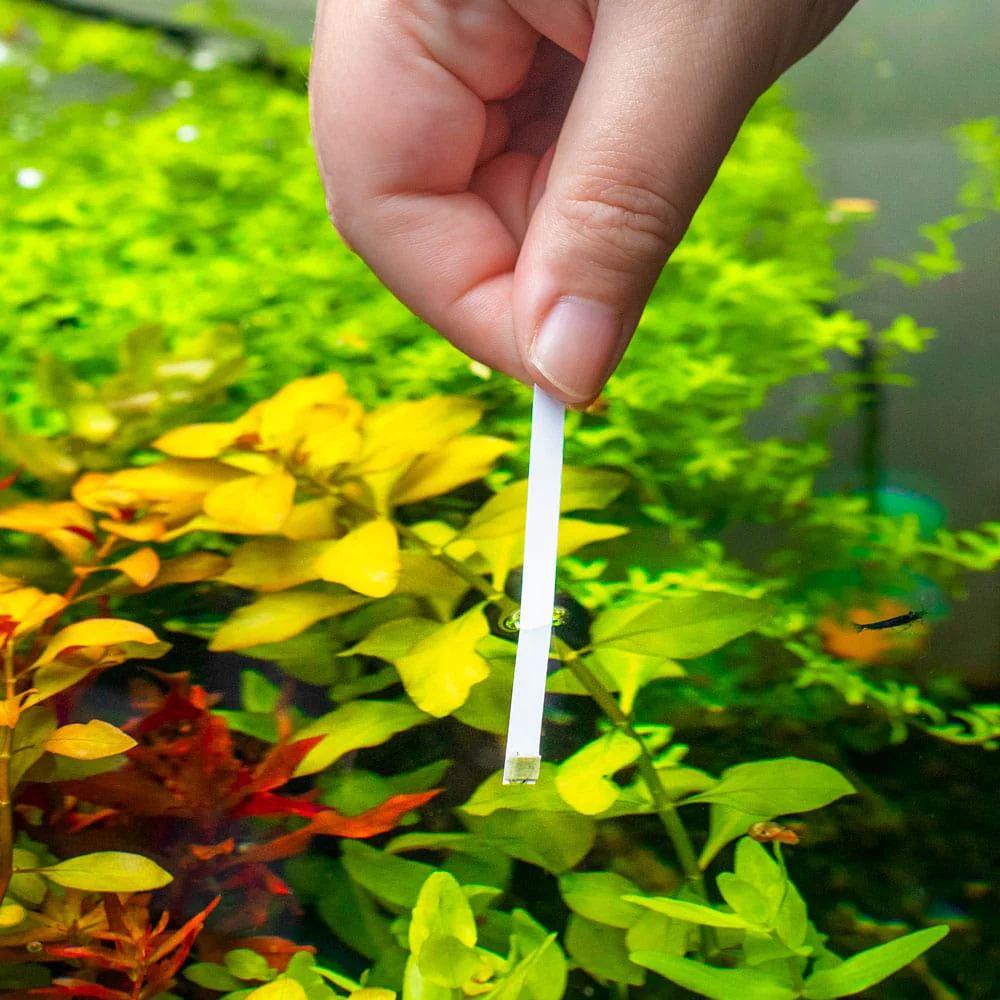 Aquarium Co-Op Ammonia Test Strips - Image 3
