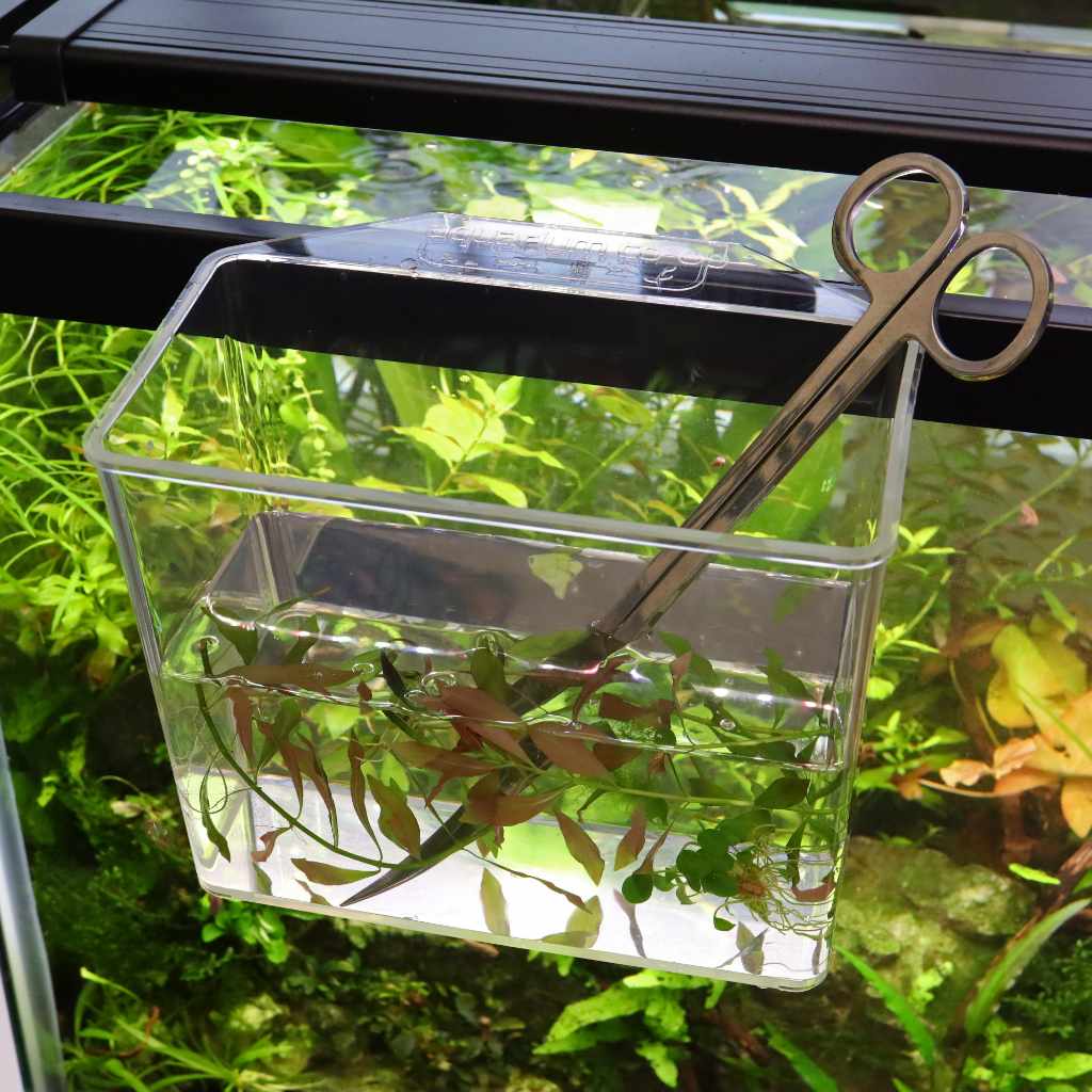 Aquarium Co-Op Unbreakable Catch Cup - Image 7