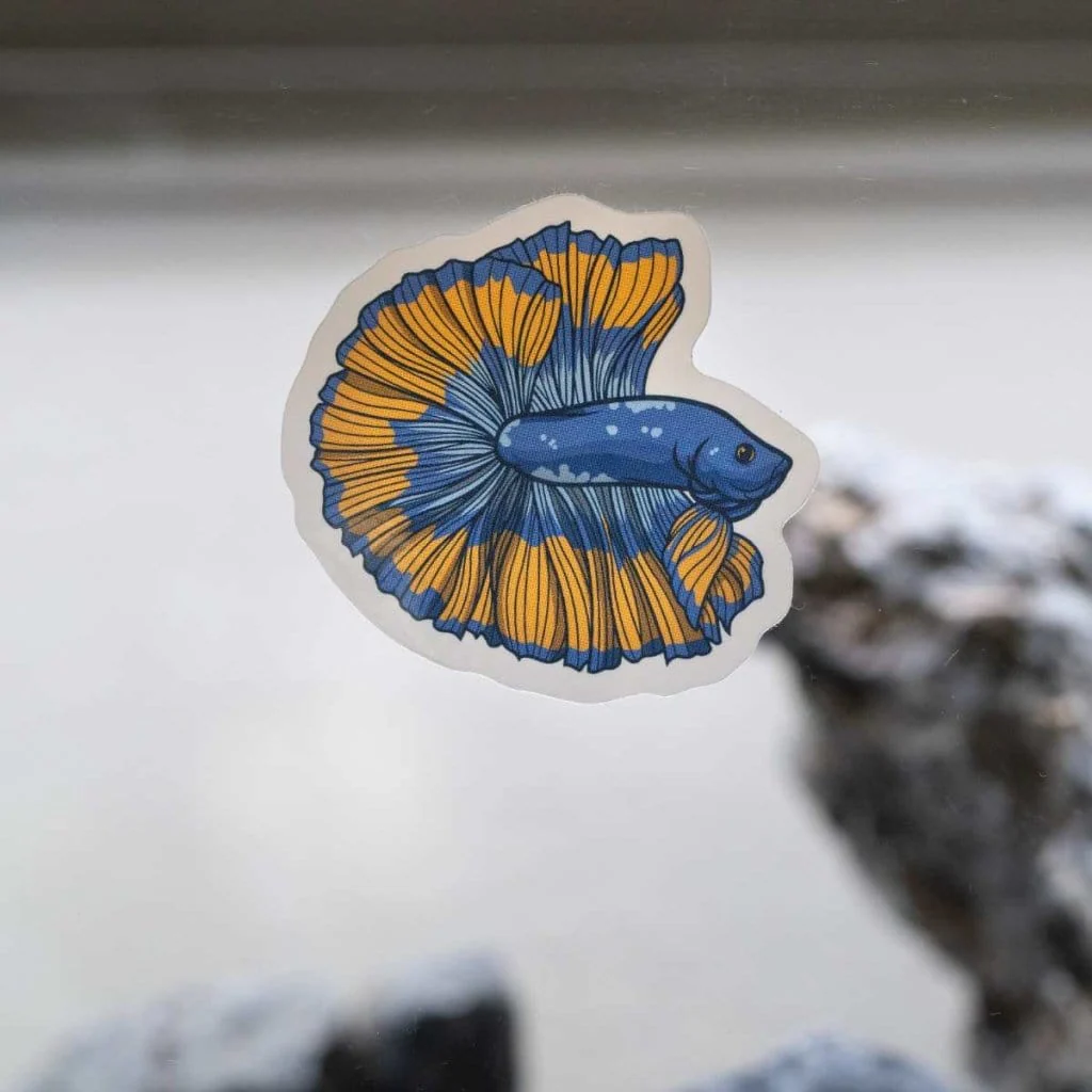 Betta Decal - Image 4