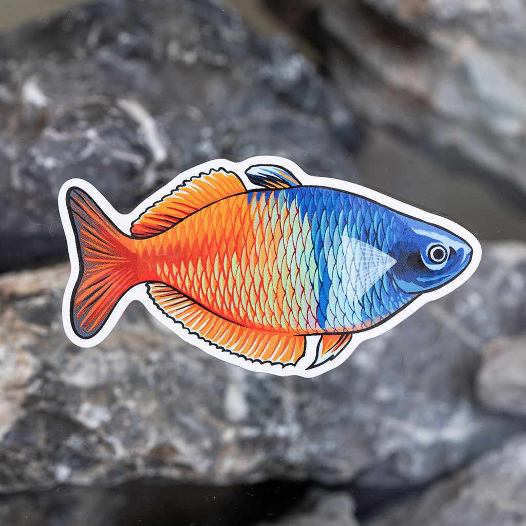 Boesemani Rainbow Decal Sticker - Image 2