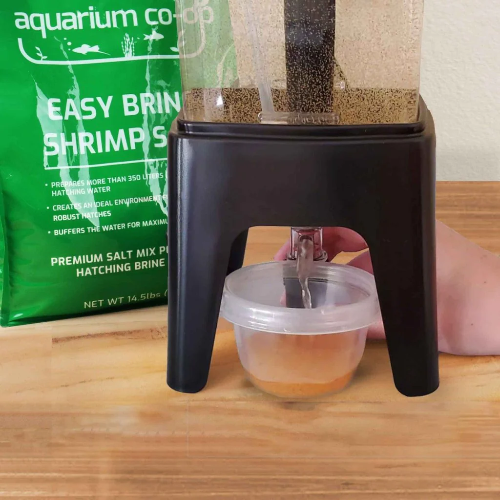 Easy Brine Shrimp Salt - Image 6