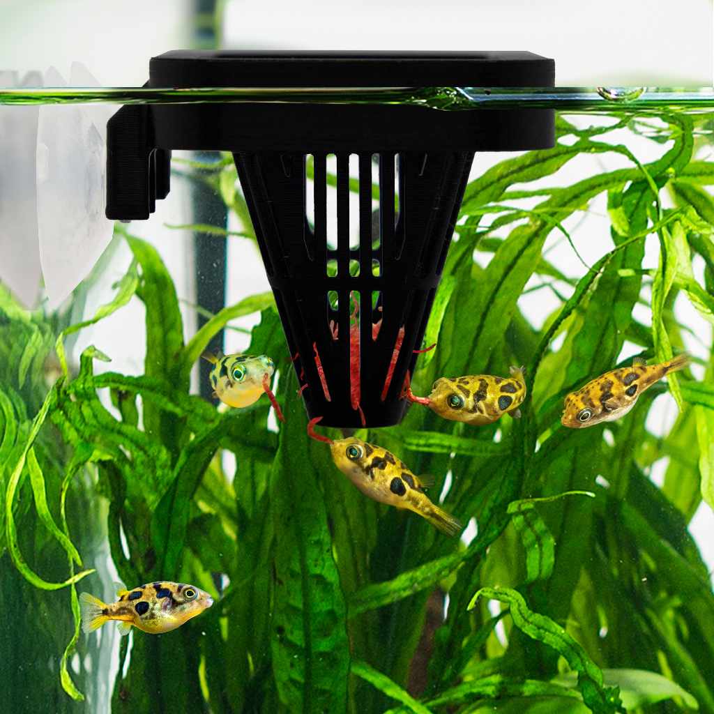 Easy Feeding Basket - Image 2