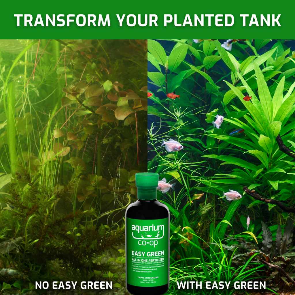 Easy Green All-in-One Fertilizer - Image 3