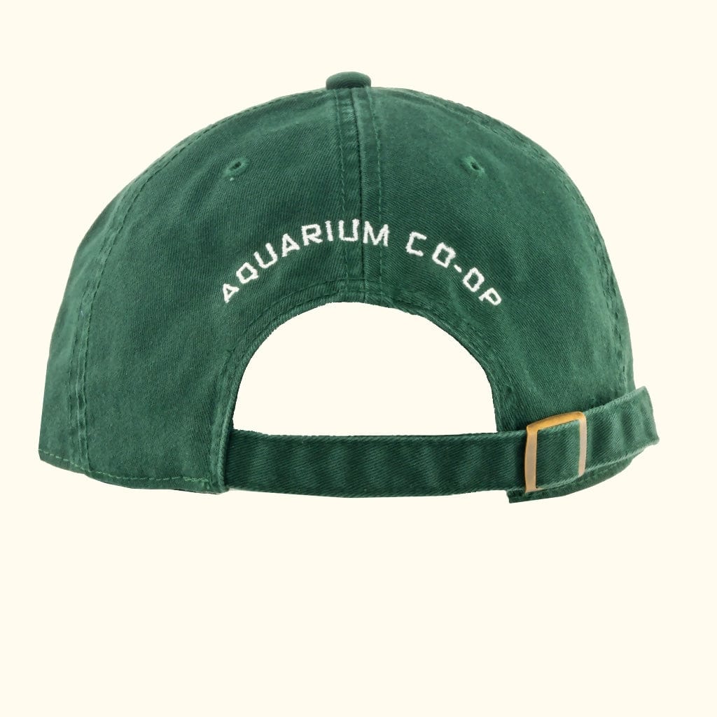 Enjoy Nature Daily Adjustable Hat - Image 3