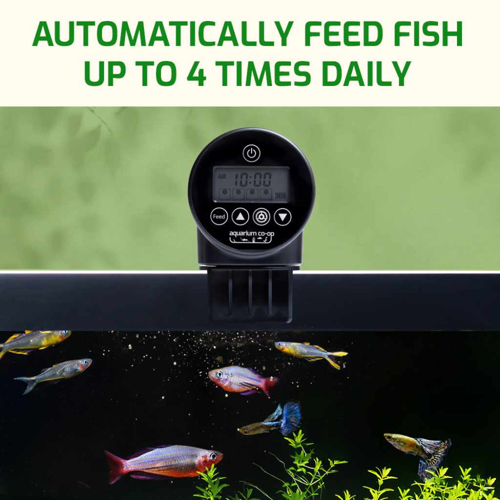 Aquarium Co-Op Auto Feeder - Image 5
