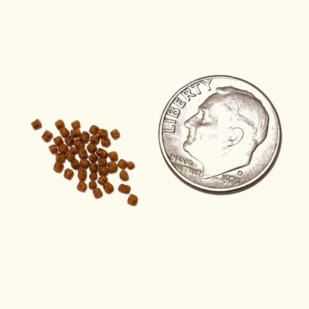 Hikari Betta Bio Gold Pellet - Image 3