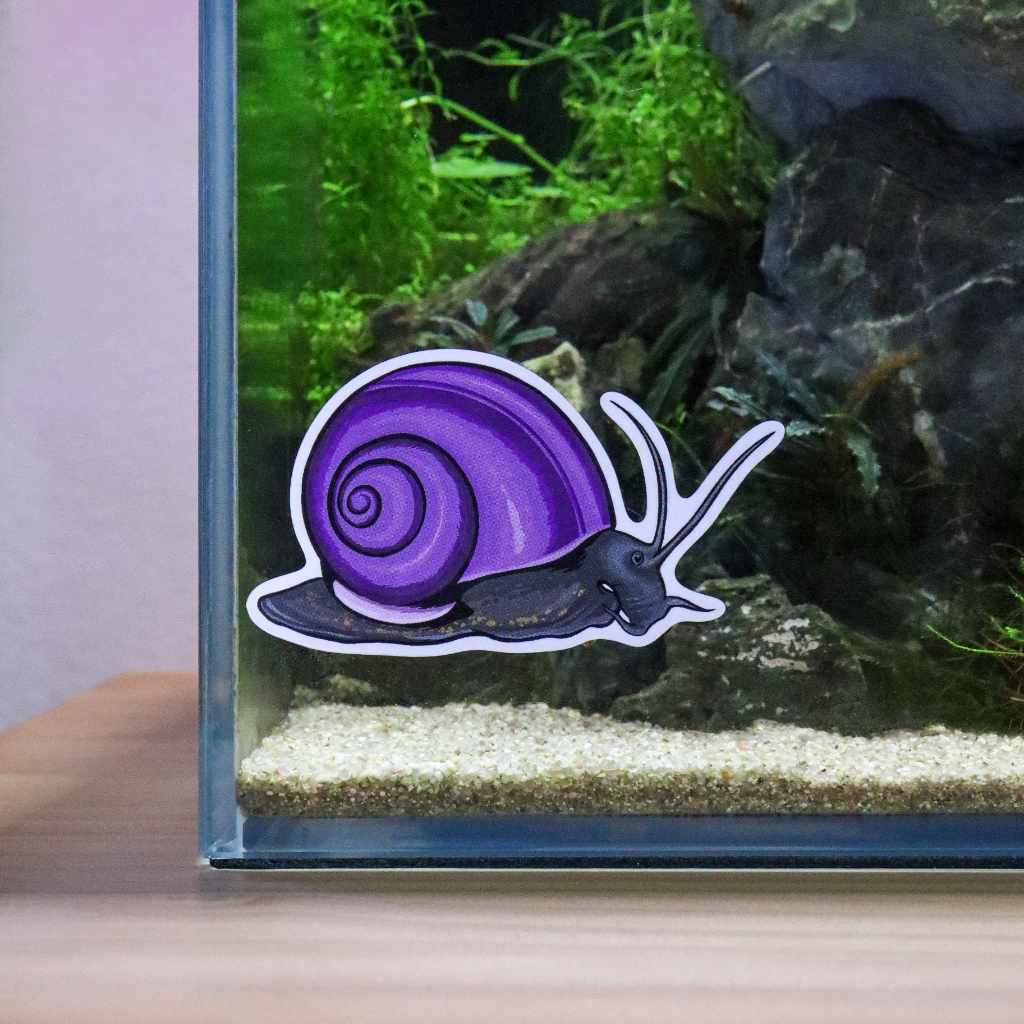 Mystery Snail Decal Sticker - Image 2