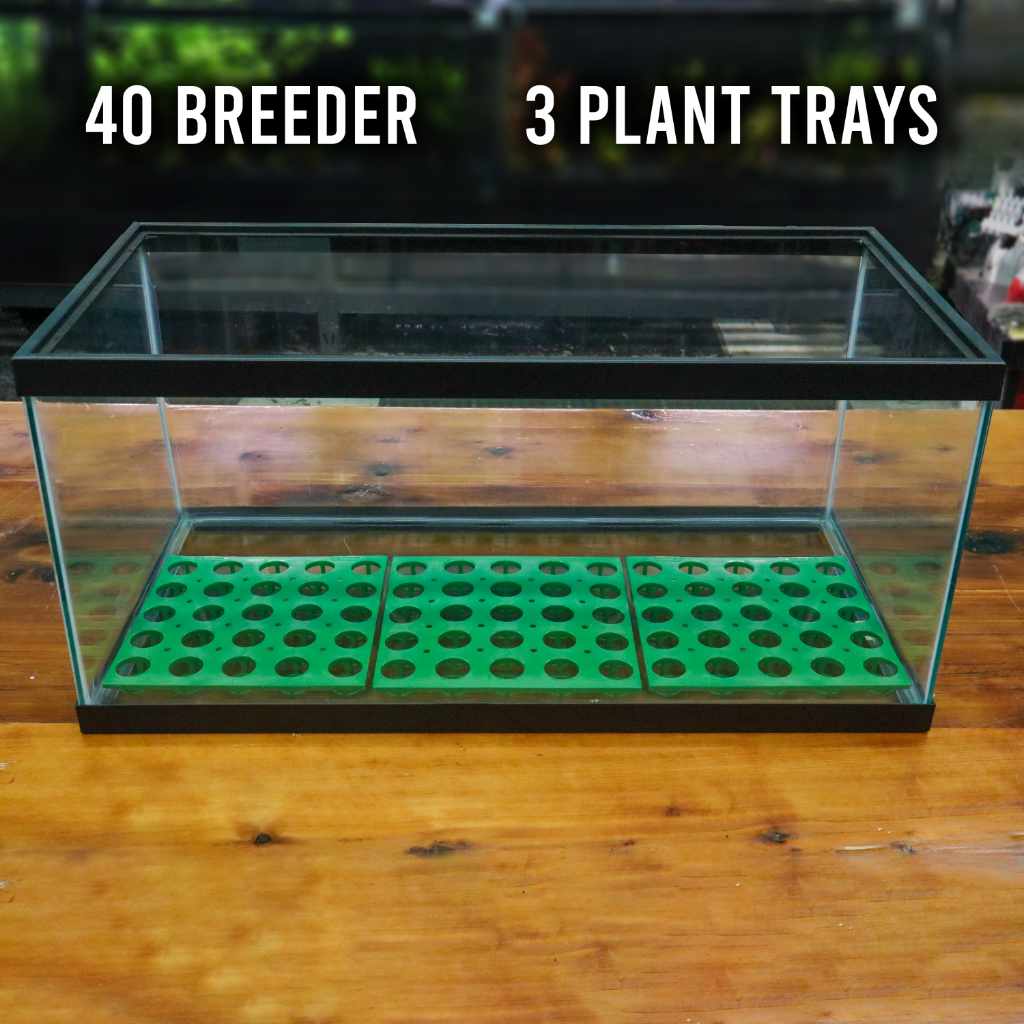 RPP Potted Plant Tray - Image 5