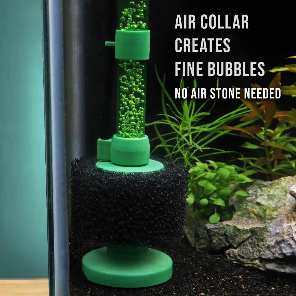 Green Easy Flow Sponge Filter (coarse) - Image 11