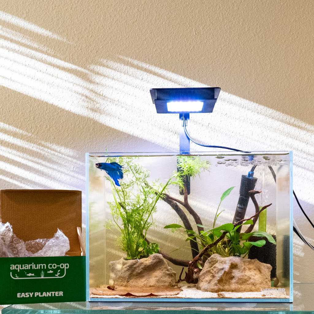 Easy Planter - Image 3