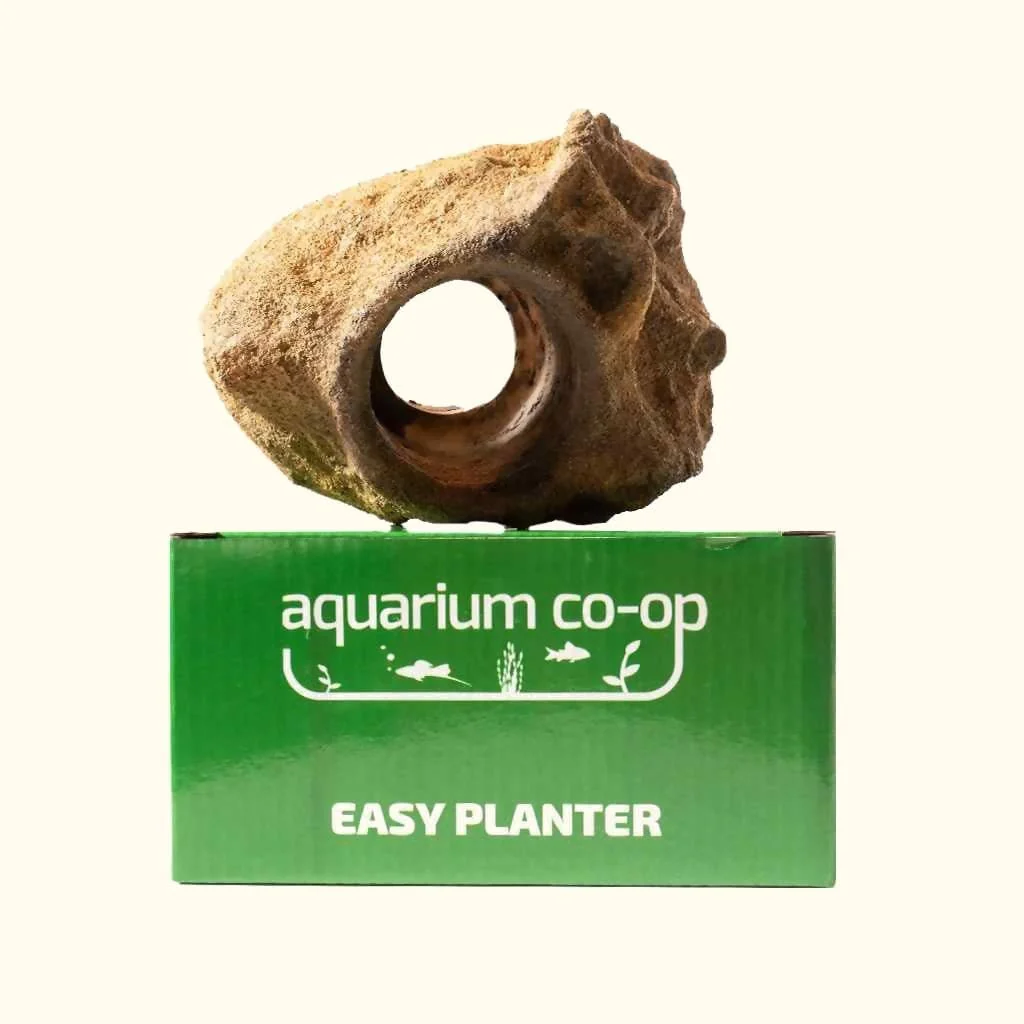 Easy Planter - Image 5