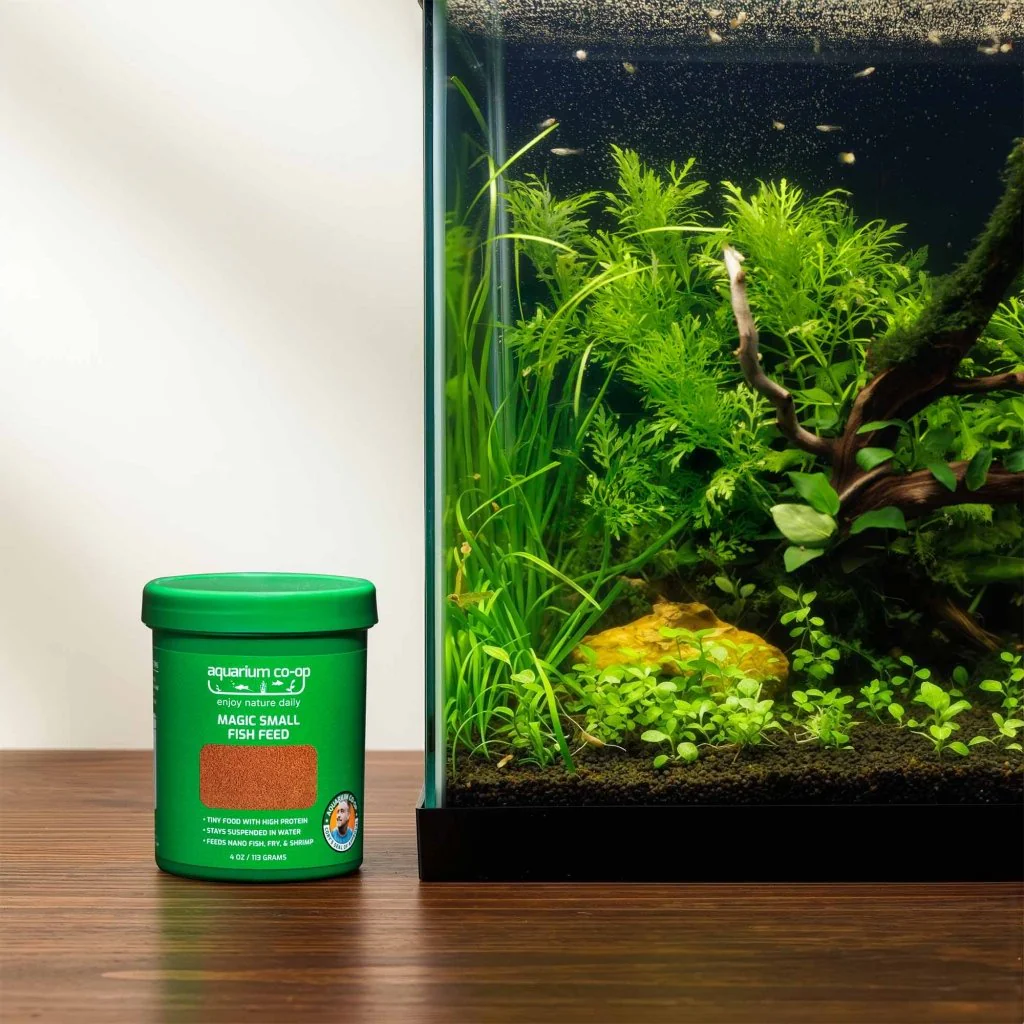 Magic Small Fish Feed - Image 5
