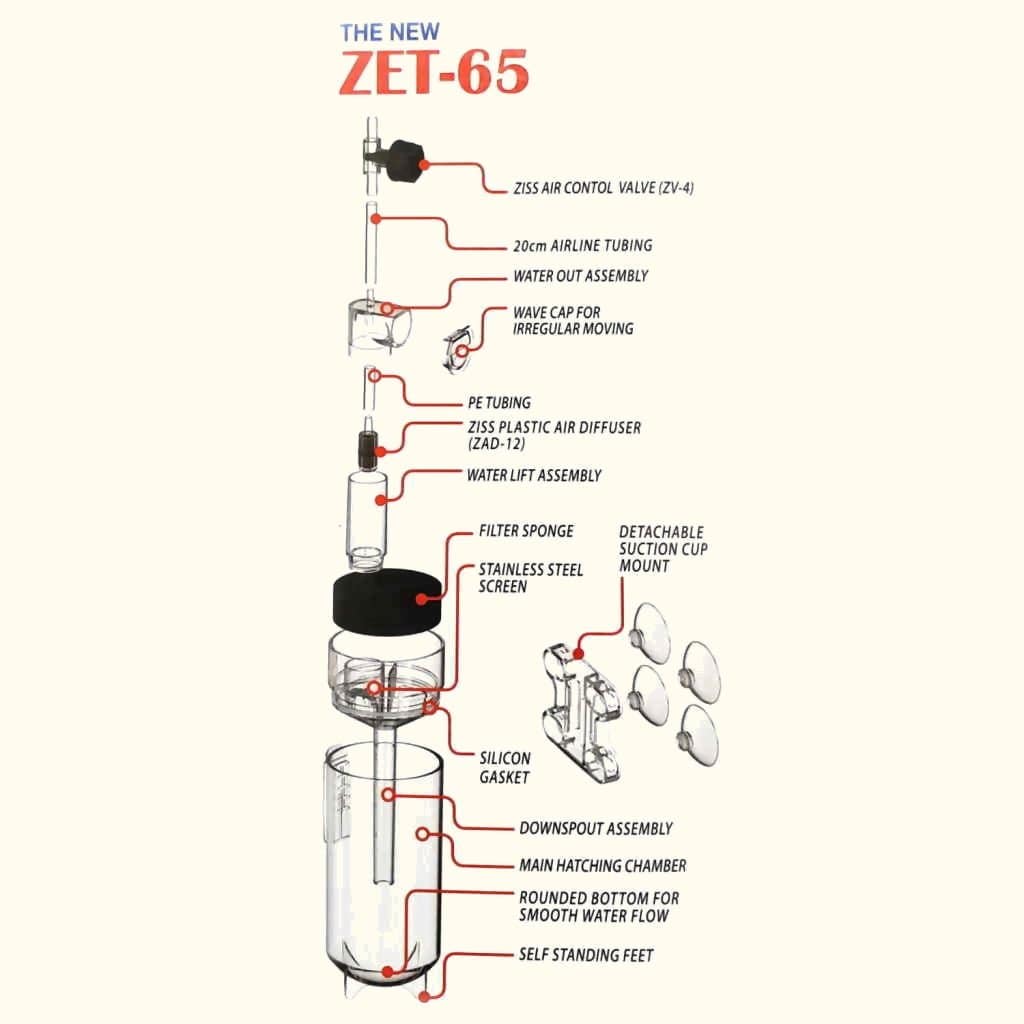 Ziss Egg Tumbler - Image 5