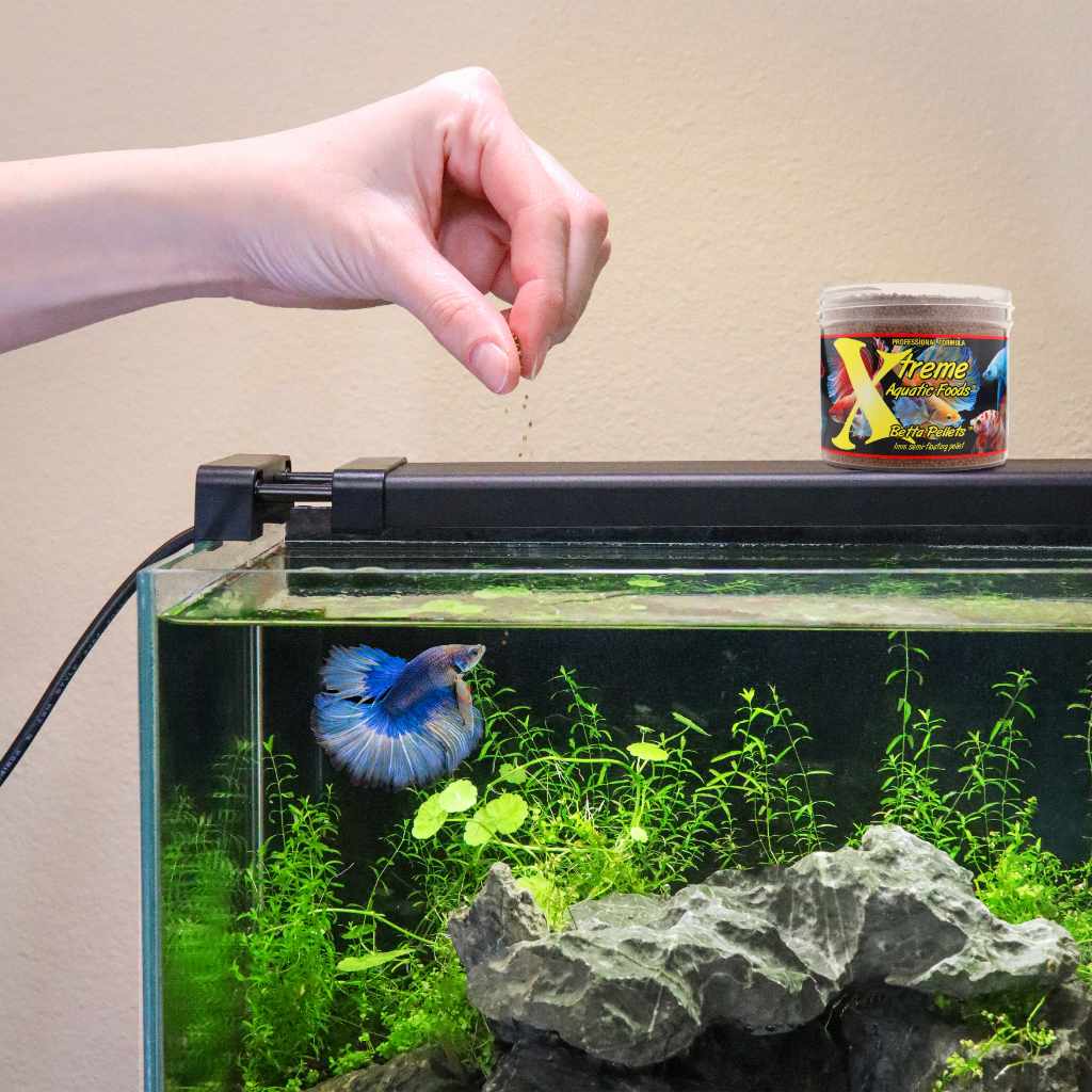 Xtreme Betta Pellets (1mm) - Image 2