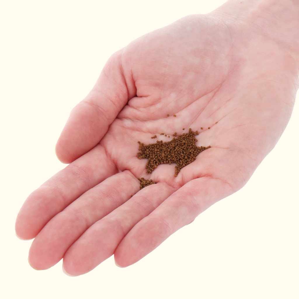 Xtreme Betta Pellets (1mm) - Image 6