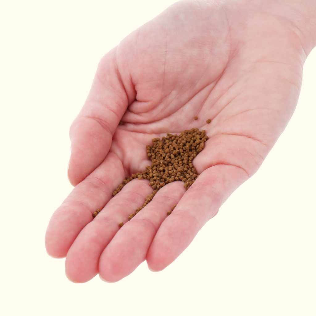 Xtreme NICE 1.5mm Slow-Sinking Pellets - Image 4
