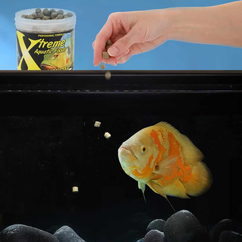 Xtreme Monster - Image 2
