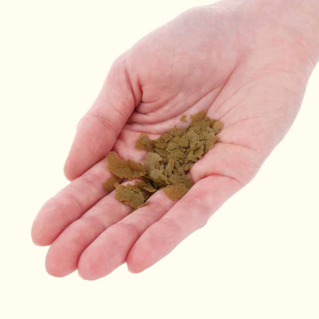 Xtreme Spirulina Flake - Image 3